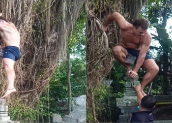 SAMUEL LOCKTON diarah turun oleh penduduk tempatan dari pokok beringin di Kuil Prajapati, Bali.-MEDIA SOSIAL