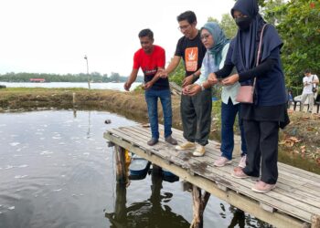 DR. Adibi Rahiman Md. Nor (tiga dari kanan) menabur benih rumpai laut di salah sebuah kolam ternakan udang di Sungai Semerak, Pasir Puteh, Kelantan hari ini. -UTUSAN/ TOREK SULONG.