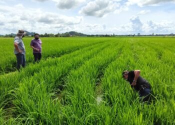 PROGRAM Smart PBB di Sungai Batu Pahat