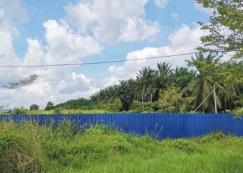 KEADAAN tapak projek PR1MA Teluk Intan di Jalan Changkat Jong, Perak, yang dinaiki semak. - UTUSAN/AIN SAFRE BIDIN
