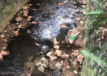 AIR Sungai Gong di Rawang, Selangor berwarna hitam dikesan  LUAS semalam.