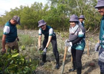 AHMAD Rizal Mohd. Daud (dua dari kiri) menanam pokok bakau pada Program Penanaman 500 Pokok Bakau di Hutan Simpan Kuala Bernam, Sungai Apong di Sabak Bernam, Selangor, hari ini.