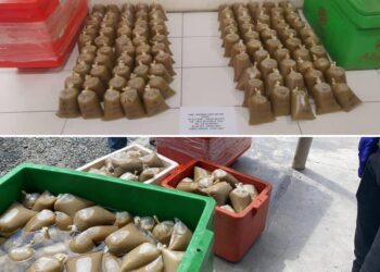 BUNGKUSAN air ketum yang dirampas dalam serbuan di Kampung Delek, Klang, Selangor, kelmarin.