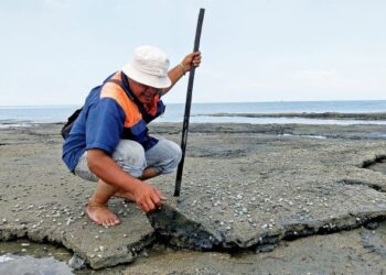 MOHD. Hakim Ngaini menunjukkan kepingan sisa didakwa debu arang batu yang mengeras atas permukaan lumpur di pesisir pantai Kapar berhampiran Jeti Nelayan Kampung Tok Muda di Klang, Selangor, semalam.
