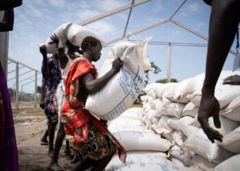 GOLONGAN wanita dari kumpulan etnik Murle mengambil bantuan makanan daripada Program Makanan Sedunia (WFP) di Gumuruk, Selatan Sudan, Jun lalu.-AFP