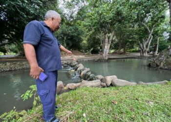AZMI Ariffin menunjukkan air Sungai Bukit Jernih yang semakin kotor dan tercemar kesan daripada air dari sawah berhampiran disalirkan ke sungai tersebut di Chuping, Perlis, baru-baru ini.- UTUSAN/MOHD. HAFIZ ABD. MUTALIB