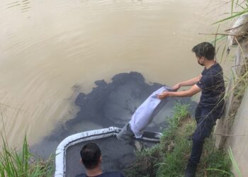 Tompokan minyak dikesan di Sungai Semenyih sebelum Loji Rawatan Air (LRA) Sungai Semenyih dihentikan operasi semalam.