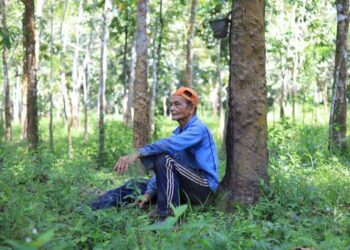 CHE Mat Yusuf termenung memikirkan nasibnya selepas harga getah jatuh menjunam di dikebun miliknya di Kampung Kubang Badak, Kota Bharu, Kelantan hari ini.-UTUSAN/KAMARUL BISMI KAMARUZAMAN.
