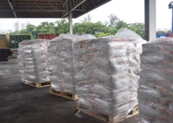 SEBAHAGIAN daripada 100 tan susu tepung dari Belanda yang dirampas Maqis di NBCT, Butterworth, Pulau Pinang, semalam.