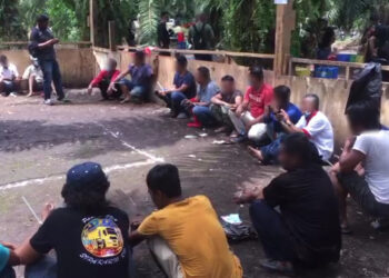 SUSPEK yang ditahan polis ketika bermain judi taisai dan laga ayam dalam ladang kelapa sawit di Sri Cheding, Banting, hari ini.