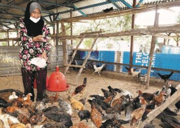DEDAK ayam dan makanan haiwan lain perlu dihasilkan sendiri oleh syarikat tempatan bagi mengurangkan kos pengimportan.