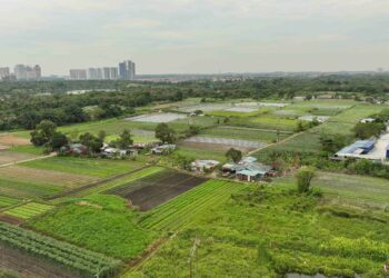 KERAJAAN perlu memantau penempatan di pulau Meranti, Puchong  yang didakwa diduduki warga asing- GAMBAR HIASAN