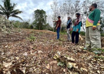 PENDUDUK menunjukkan antara kawasan pertanian yang didakwa dibersihkan oleh jentera berat 
di Kampung Baru Batu 18, Padang Besar, Perlis, semalam. – UTUSAN/MOHD. HAFIZ ABD. MUTALIB