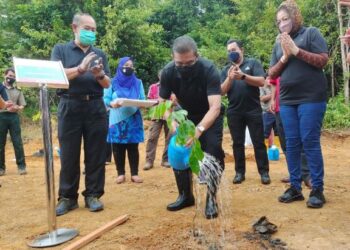 TAKIYUDDIN Hassan menyiram pokok merbau yang ditanam sempena Program Penanaman Pokok bersama komuniti Kampung Chandek Kura di Hutan Simpan Bukit Malut, Langkawi, hari ini. - FOTO/NUR AMALINA AZMAN