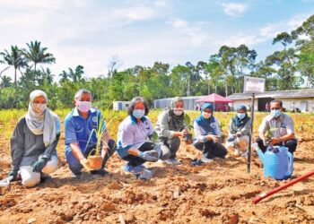 DR. NORWATI Muhammad (tiga, kiri)  menanam pokok sebagai simbolik kepada pemindahan teknologi FRIM di Kampung Serting Ulu, Simpang Pertang, Negeri Sembilan, baru-baru ini. – IHSAN/Yusni IDRIS