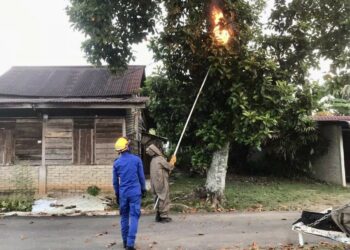 ANGGOTA APM Pendang memusnahkan sarang tebuan berdekatan rumah penduduk di Pendang, Kedah, hari ini.