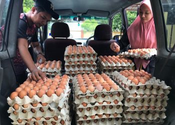 KHAIRUL Azhar Kamaruzaman bersama  Alya Nabihah Mat Soh, menyusun telur di dalam kereta sebelum dipasarkan kepada peruncit di Taman Kesedar Putra, Gua Musang, Kelantan.