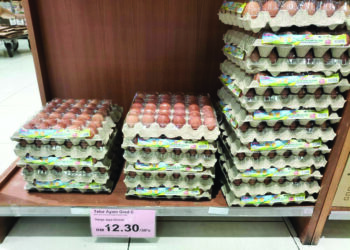 Kekurangan telur tempatan menyebabkan pengguna bersedia membeli telur import dari India.