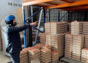 PEGAWAI Kementerian Perdagangan Dalam Negeri dan Hal Ehwal Pengguna (KPDNHEP) memeriksa bekalan dan harga telur di beberapa pasar raya utama di Kuala Terengganu, hari ini.
