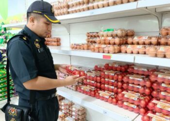 ANGGOTA penguat kuasa KPDN Terengganu memeriksa bekalan telur ayam di sebuah premis di Kuala Terengganu, hari ini.