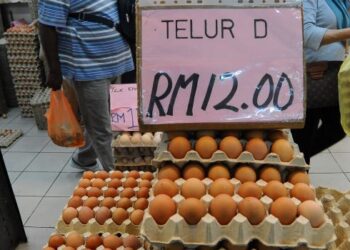 PELABE;AN telur menjadi isu kerana ada pihak didakwa mengambil kesempatan menaikkan gred telur sesuka hati tanpa kebenaran.- GAMBAR HIASAN