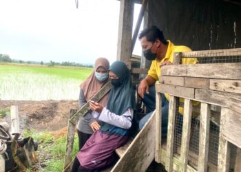 NUR Najiha Najwa Zul Burhan  (tengah) menunjukkan keputusan 10 A SPM kepada ibu dan bapanya di Kampung Pida 15, Tok Pulau, Simpang Empat, Arau, Perlis, semalam.- UTUSAN/MOHD. HAFIZ ABD. MUTALIB