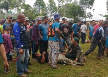 MOHD. Shahrul Adzli Mustaffa terbaring setelah ditendang seekor lembu korban di Padang Bola Kampung Butut, Hulu Terengganu, hari ini. - UTUSAN/NOOR HAYATI MAMAT