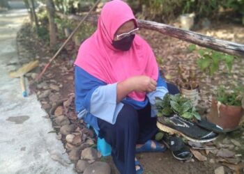 NORHASIYATI Taharin membersihkan kasut tinggalan pelancong Barat yang dijadikan bekas bunga di pusat inap Tahan Guest House (TGH) Kuala Tahan di Jerantut, Pahang. - UTUSAN/HARIS FADILAH AHMAD