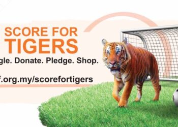 Cabaran Score For Tigers anjuran WWF-Malaysia dengan kerjasama Maybank sebagai usaha mengatasi krisis kepupusan spesies ikon negara, harimau Malaya.
