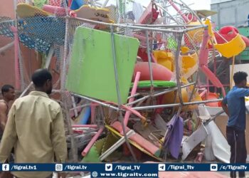 Tigray Television