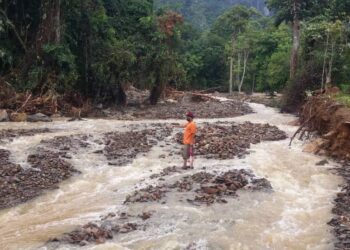 SEORANG penduduk berdiri di tengah-tengah aliran sungai yang deras dan keruh selepas hujan lebat 
di kawasan peranginan Titi Hayun, Yan, Kedah, semalam. – UTUSAN/OTHMAN YAHAYA
