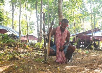 SEORANG penduduk dari Perkampungan Orang Asli di Sungai Berua yang berpindah ke dalam hutan berdekatan Tasik Kenyir, Hulu Terengganu. - UTUSAN/PUTRA HAIRRY ROSLI