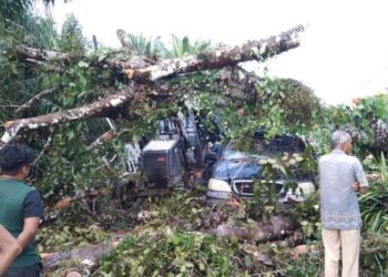KEADAAN MPV dinaiki pasangan suami isteri yang dihempap sebatang pokok tumbang di Kampung Tok Bintang, Hulu Terengganu, semalam. - FOTO/NOOR HAYATI MAMAT