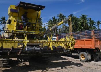 SEBUAH jentera menuai padi memindahkan hasil padi yang dituai ke dalam sebuah lori di Kampung Maras, Kuala Nerus, Terengganu. – FOTO/PUQTRA HAIRRY ROSLI
