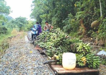 MOTOSIKAL troli yang digunakan penduduk Kampung Pangi bagi mengangkut hasil pertanian ke pekan Tenom, Sabah.