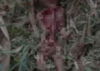 GAMBAR mayat bayi tanpa organ yang tular sejak semalam, didakwa ditemukan di sekitar kawasan Batu 6 di Kuantan, Pahang. - MEDIA SOSIAL FACEBOOK