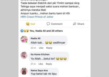 TANGKAP layar akaun pengguna ‘Nama Saya Ana’ yang mendakwa terdapat kematian ekoran gangguan bekalan elektrik di HSI, Johor.