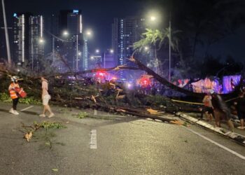 SEORANG penunggang motosikal maut manakala beberapa yang lain cedera dalam kejadian pokok tumbang akibat ribut di Lebuh Raya Tun Dr. Lim Chong Eu, George Town, Pulau Pinang awal pagi tadi.