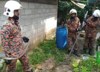 NGGOTA bomba dari BBP Endau menangkap ular tedung selar sepanjang 2.5 meter yang ditemukan dalam bilik air di Felda Lembaga Batu 5, Jalan Endau-Mersing di Mersing, Johor.