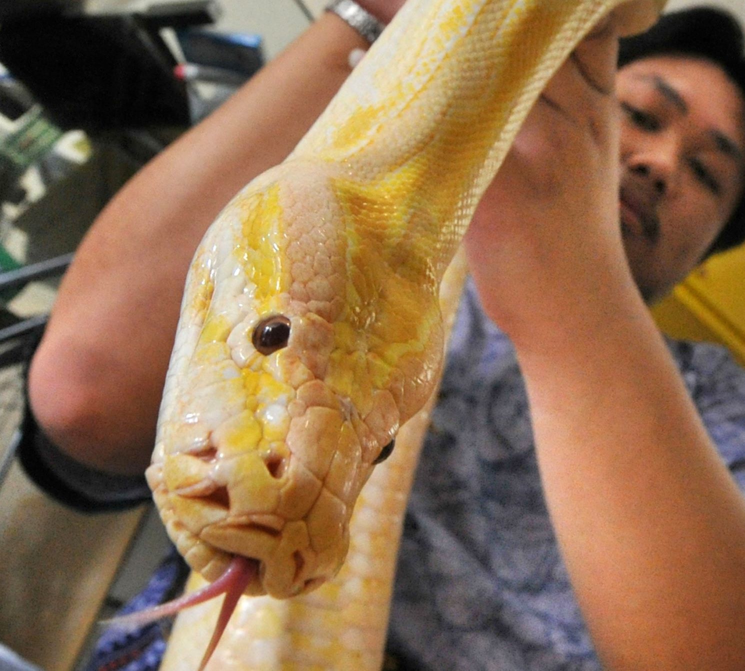 Akaning xotini bilan jinsiy aloqa video