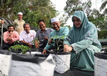 IDRIS Ahmad (dua dari kanan) melihat pokok cili yang ditanam menerusi Projek Pembangunan Agropreneur Asnaf: Fertigasi Cili di Kampung Sungai Petai, Changkat Jering, Perak, baru-baru ini.