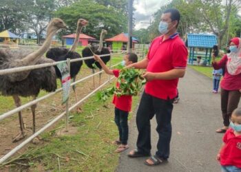 PENGUNJUNG memberi makan burung unta ketika melawat Taman Agrovet di Padang Besar, Perlis. - UTUSAN/SYED AZLAN SAYID HIZAR