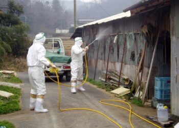 PASUKAN kesihatan melakukan sanitasi di sebuah ladang ternakan ayam di bandar Takahashi, wilayah Okayama, Jepun. - AFP