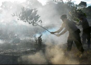 Indonesia mengambil pelbagai langkah untuk menangani isu jerebu yang berlaku sekarang, - GAMBAR HIASAN