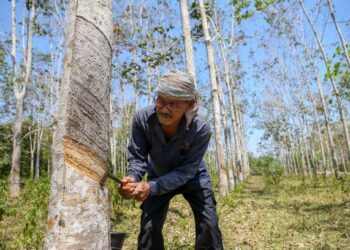 Penggunaan getah beku tempatan sebagai campuran dalam pembuatan jalan raya akan membantu kenaikan harga getah sekali gus membolehkan penoreh menikmati pendapatan lebih baik.