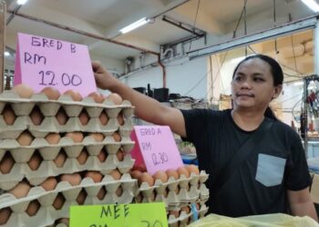 SALMI Sihat menunjukkan harga telur ayam Gred B yang ditetapkan mengikut SHMMP HRP 2021