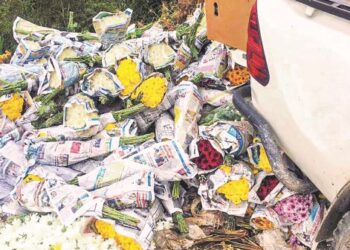 TIMBUNAN Bunga yang dibuang di tempat pembuangan sampah di Cameron Highlands kerana tidak dapat dipasarkan berikutan pelaksanaan sekatan pergerakan penuh.