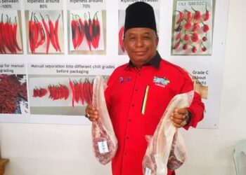 ABDUL Razak menunjukkan contoh daging sejuk beku keluaran penternak di Pusat Pengumpulan Hasil Ladang (PPHL) di Jalan Waja Teluk Panglima Garang, Selangor hari ini.-UTUSAN/ABDUL RAZAK IDRIS