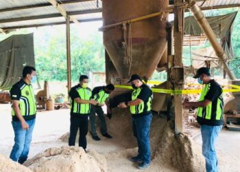 PASUKAN penguatkuasa Jabatan Perhutanan Perak melakukan pemeriksaan di sebuah kilang kayu yang beroperasi tanpa lesen di Sungai Siput pada Jumaat lalu. - UTUSAN/IHSAN JABATAN PERHUTANAN PERAK