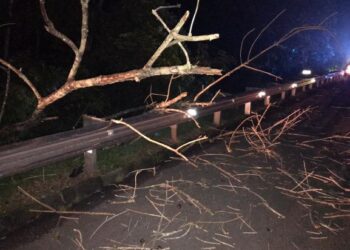 LOKASI kemalangan di mana mangsa terlanggar dahan pokok di laluan kecemasan di Kilometer 229.5 Lebuhraya Utara Selatan (arah Selatan), Rembau, malam semalam.- SUMNBER Gambar awam